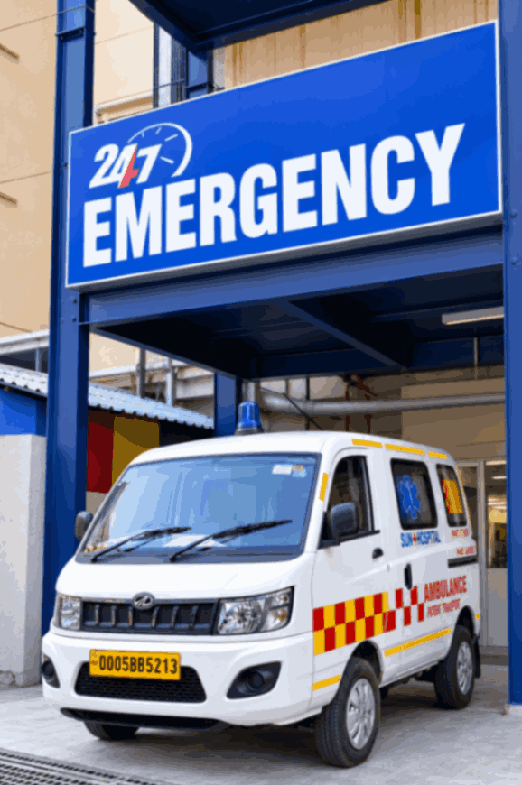 Hospital Emergency Entrance with Ambulance